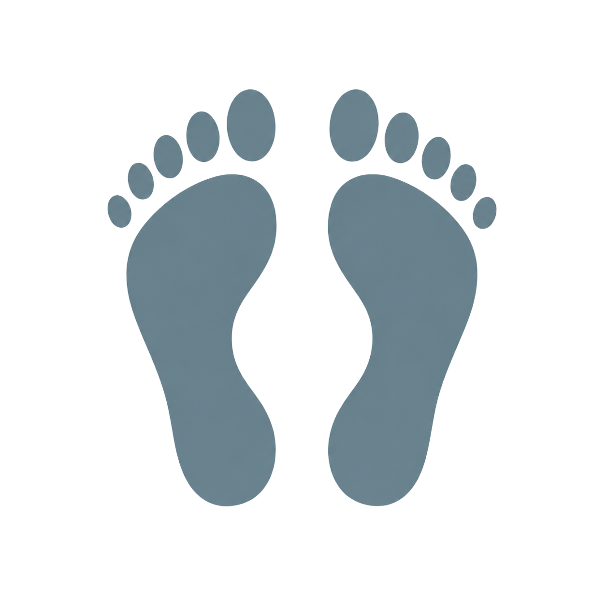 Footprints icon
